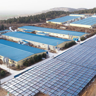 Introducción al caso del proyecto de calefacción solar de la planta ganadera Dingtai de Shandong