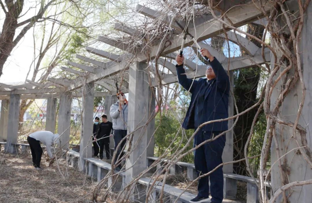 Adding Green with Hands, Beautifying Our Home——A Record of Soletks Group's Parent-Child Arbor Day Activity Adding Green with Hands, Beautifying Our Home——A Record of Soletks Group's Parent-Child Arbor Day Activity